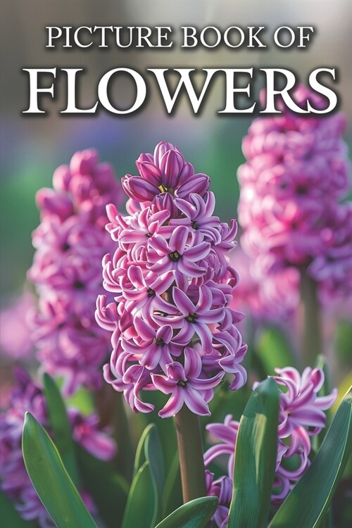 Flowers: Picture Books For Adults With Dementia And Alzheimers Patients - Colourful Photos Of Flowers With Names (Paperback)