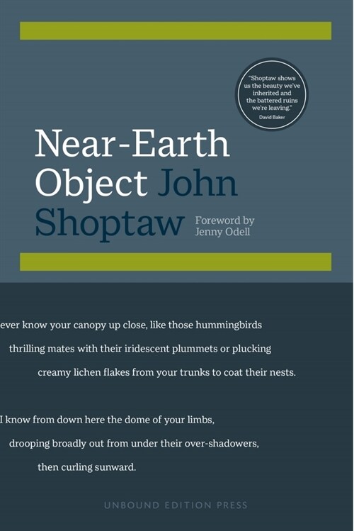 Near-Earth Object (Paperback)