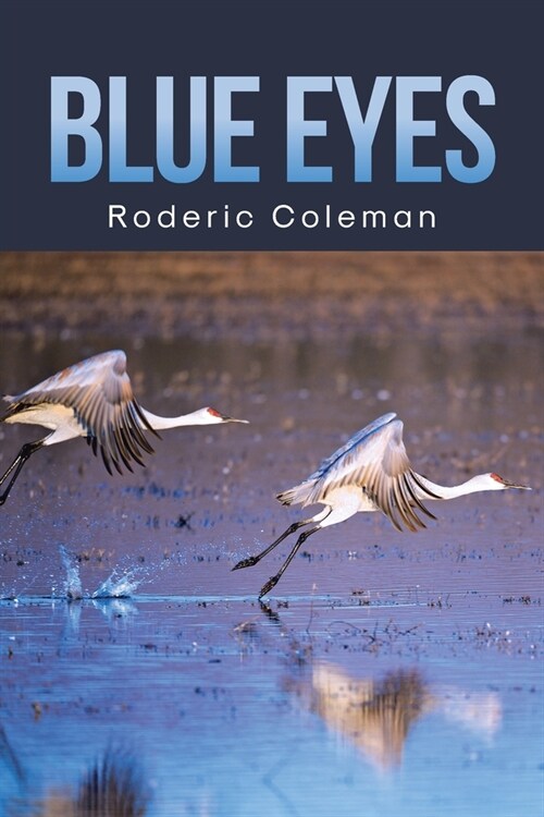 Blue Eyes (Paperback)