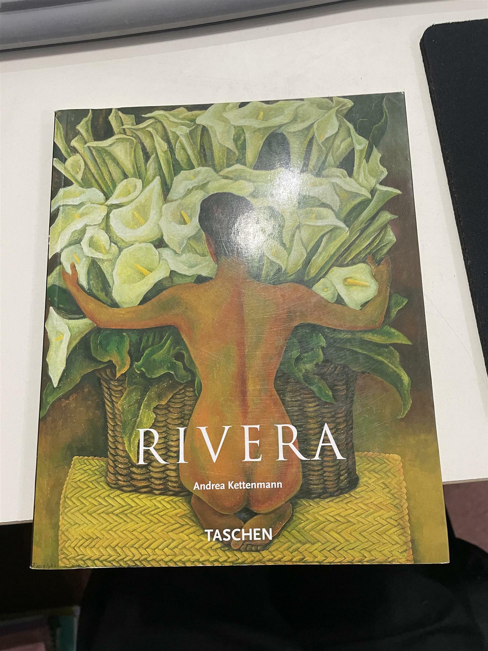 [중고] Rivera (Paperback)