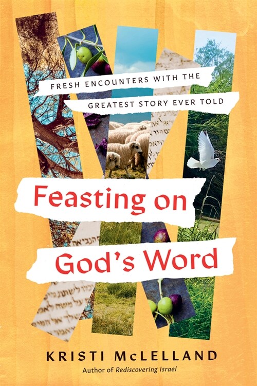 Feasting on Gods Word: Fresh Encounters with the Greatest Story Ever Told (Hardcover)