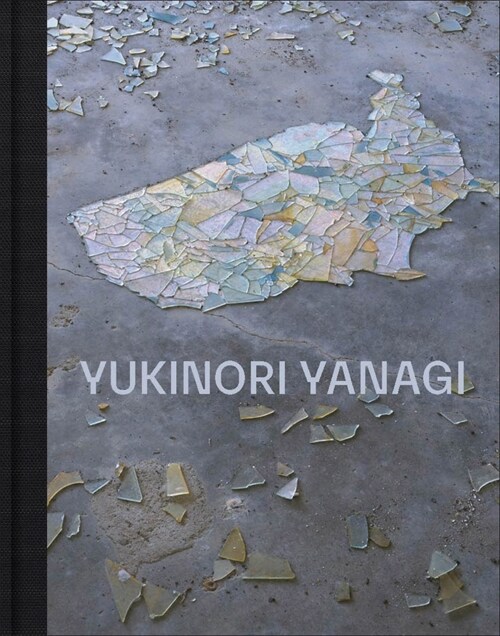 Yukinori Yanagi (Hardcover)