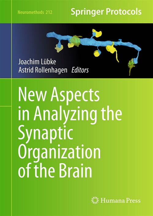 New Aspects in Analyzing the Synaptic Organization of the Brain (Hardcover, 2024)
