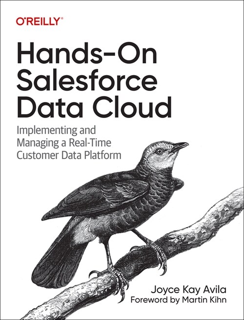Hands-On Salesforce Data Cloud: Implementing and Managing a Real-Time Customer Data Platform (Paperback)