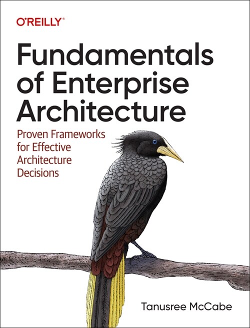 Fundamentals of Enterprise Architecture: Proven Frameworks for Effective Architecture Decisions (Paperback)