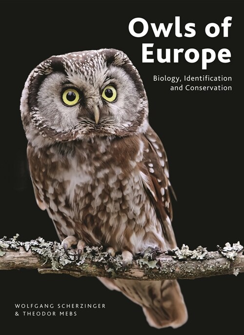 Owls of Europe : Biology, Identification and Conservation (Hardcover)