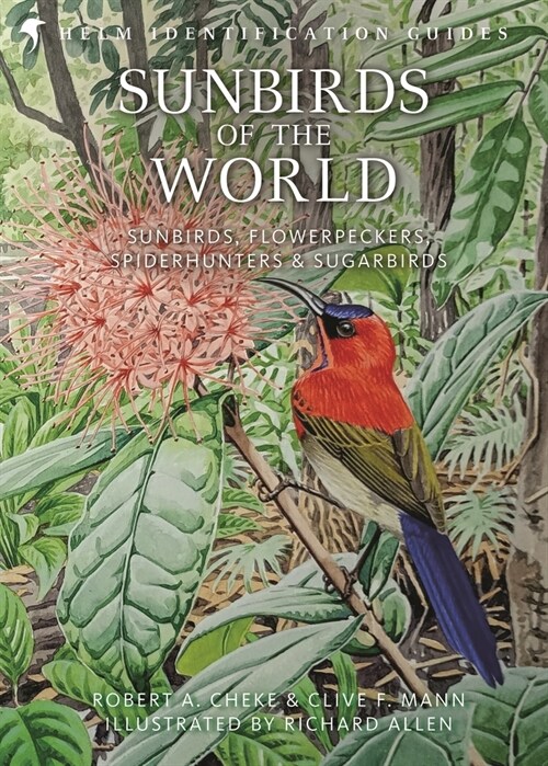 Sunbirds of the World : Sunbirds, Flowerpeckers, Spiderhunters & Sugarbirds (Hardcover, 2 ed)