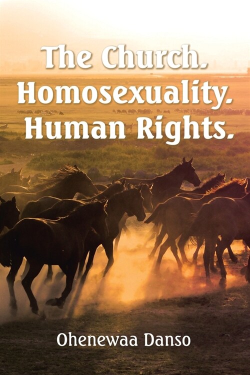 The Church. Homosexuality. Human Rights. (Paperback)