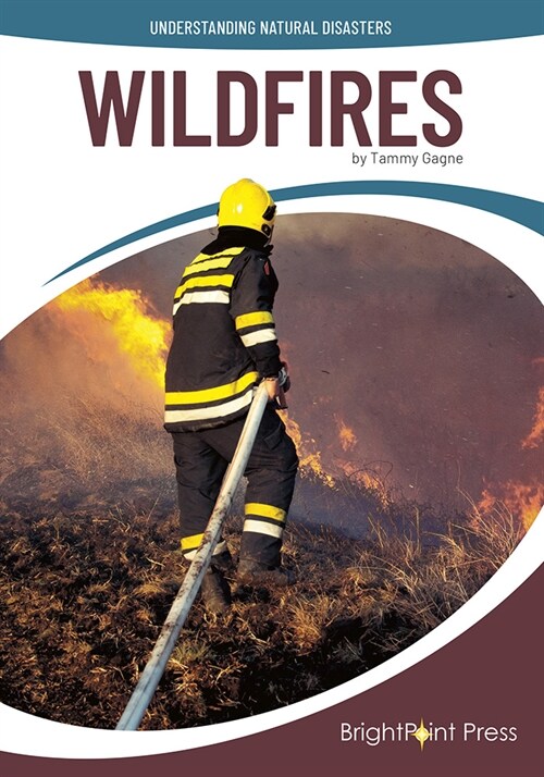 Wildfires (Hardcover)