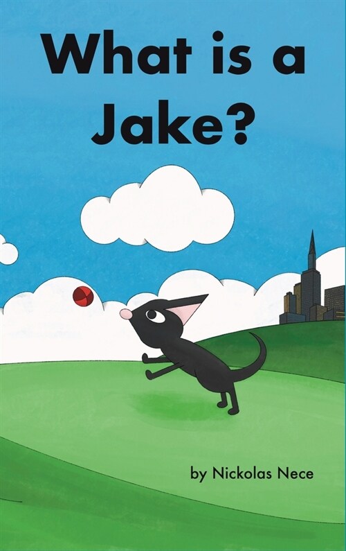 What is a Jake?: Jakes Adventure Book 2 (Hardcover)