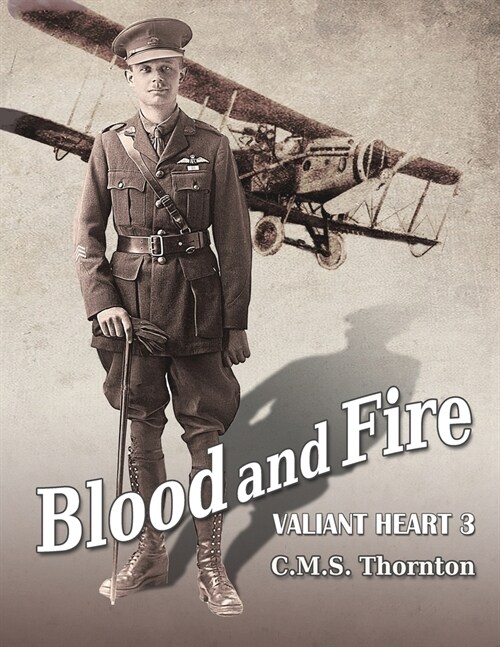 Blood and Fire: The Hero Who Conquered the Skies (Paperback)