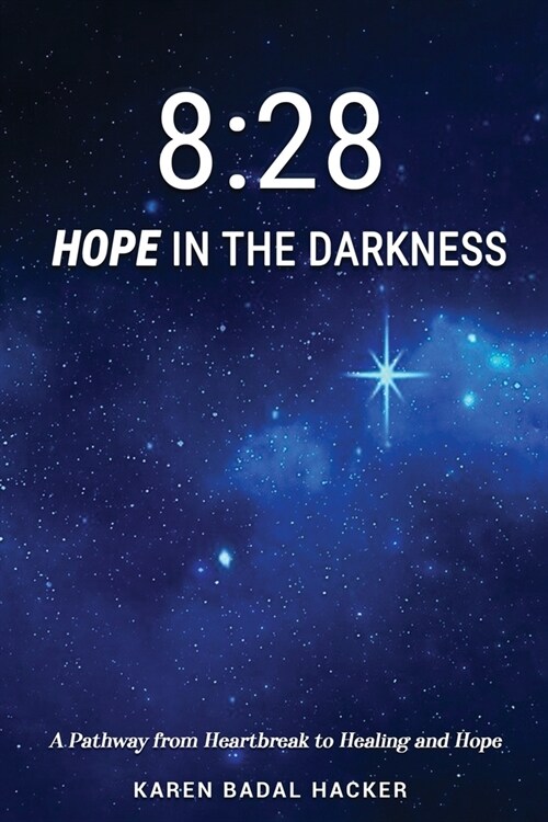 8: 28 Hope in the Darkness: A Pathway from Heartbreak to Healing and Hope (Paperback)