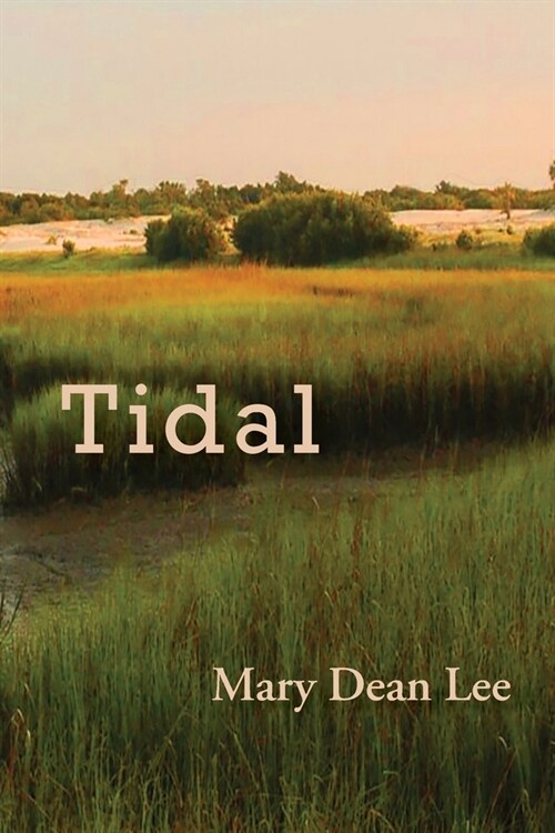 Tidal (Paperback)