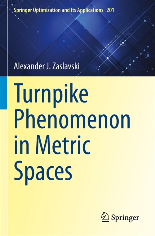 Turnpike Phenomenon in Metric Spaces (Paperback, 2023)