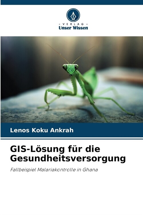 GIS-L?ung f? die Gesundheitsversorgung (Paperback)