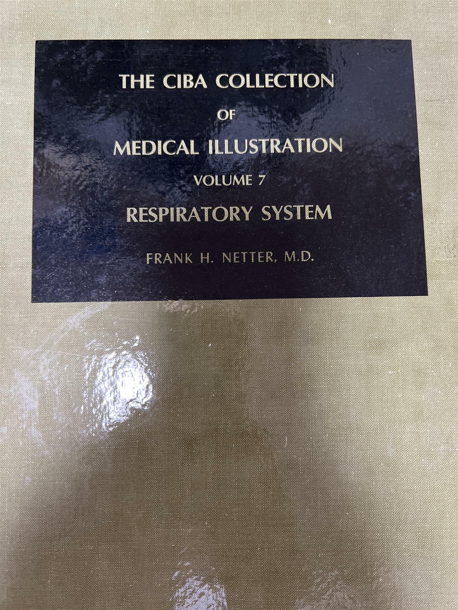 [중고] Musculoskeletal System, Part 3: Trauma, Evaluation and Management (The Ciba Collection of Medical Illustrations, Vol. 8) (Hardcover, New Ed)