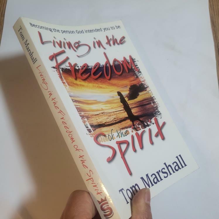 [중고] Living in the Freedom of the Spirit: Becoming the Person God Intended You to Be (Paperback)