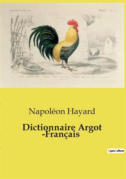 Dictionnaire Argot -Fran?is (Paperback)