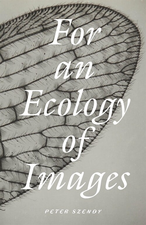 For an Ecology of Images (Paperback)