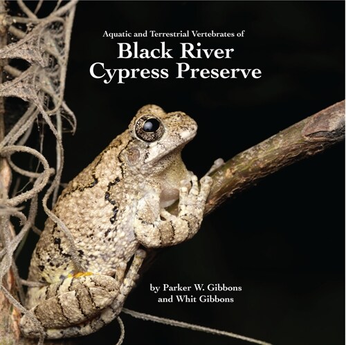 Acquatic and Terrestrial Vertebrates of Black River Cypress Preserve (Paperback)