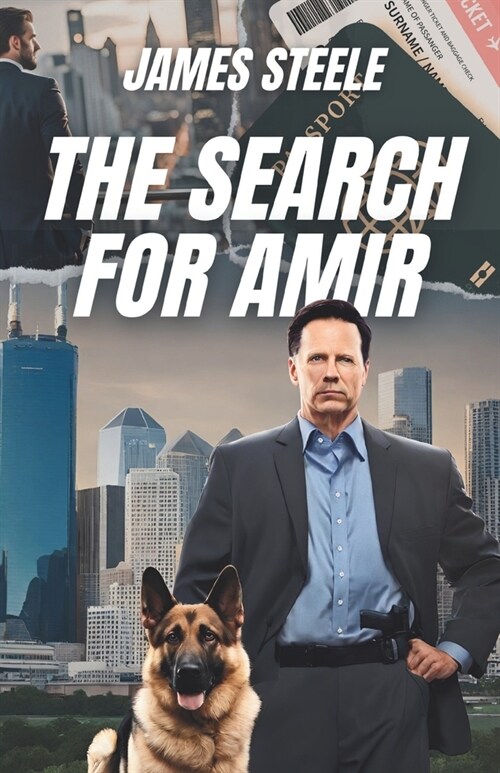 The Search for Amir (Paperback)