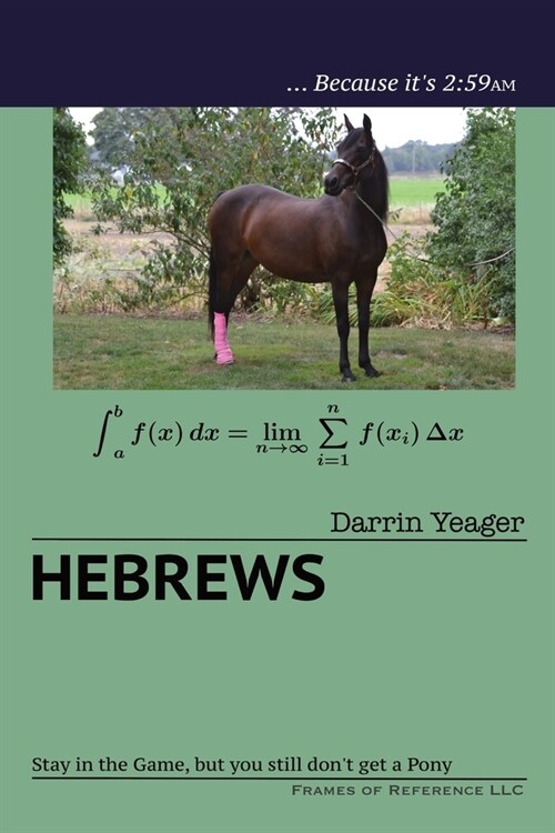 Hebrews: Stay in the Game, but You Still Dont Get a Pony (Paperback)
