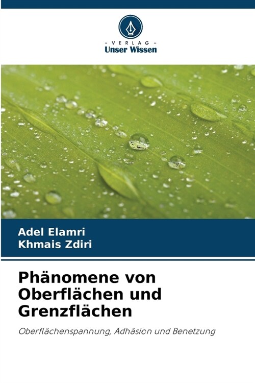 Ph?omene von Oberfl?hen und Grenzfl?hen (Paperback)