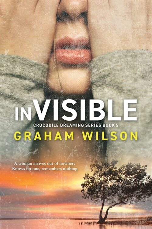 Invisible (Paperback)