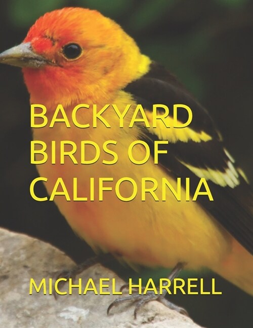 Backyard Birds of California (Paperback)