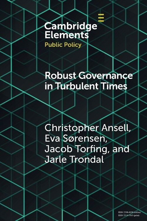 Robust Governance in Turbulent Times (Paperback)