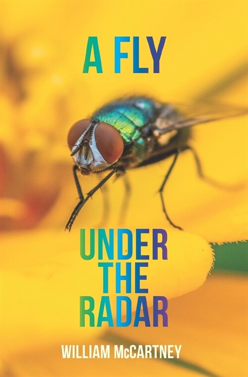 A Fly Under The Radar (Paperback)