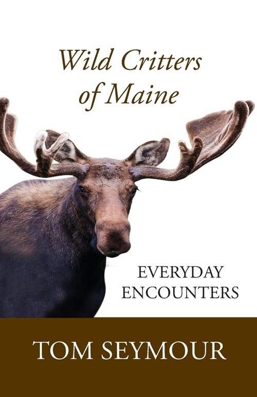 Wild Critters of Maine: Everyday Encounters (Paperback)