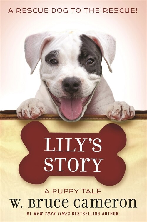 Lilys Story: A Puppy Tale (Paperback)