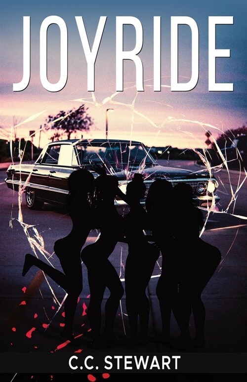 Joyride (Paperback)