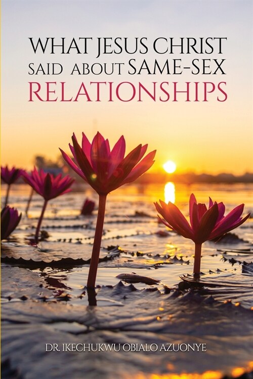 What Jesus Christ said about Same-sex Relationships (Paperback)