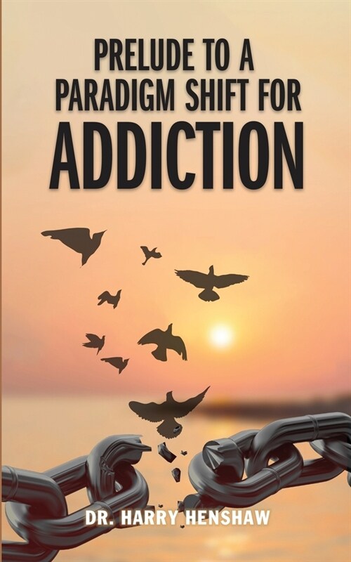 Prelude to a Paradigm Shift for Addiction (Paperback)