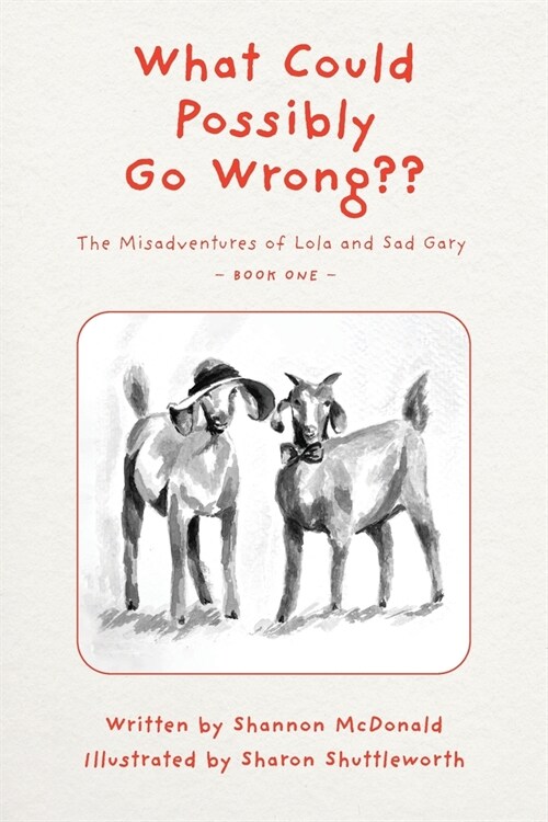 What Could Possibly Go Wrong (Paperback)