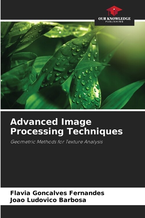 Advanced Image Processing Techniques (Paperback)