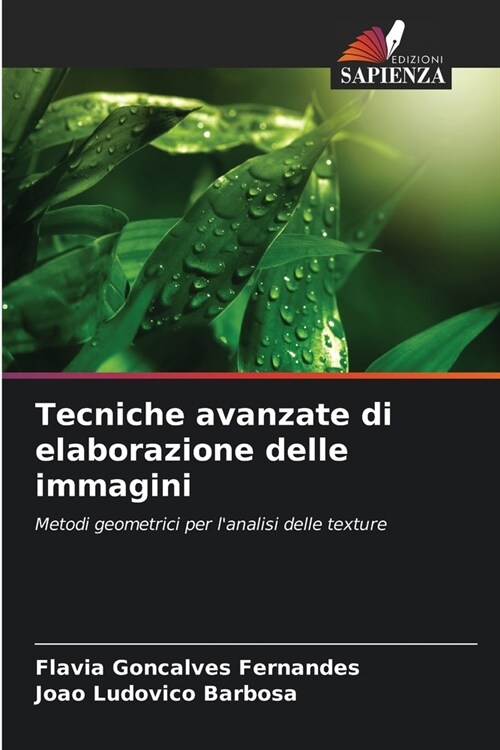 Tecniche avanzate di elaborazione delle immagini (Paperback)