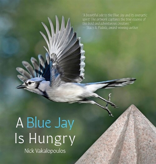 A Blue Jay is Hungry (Hardcover)
