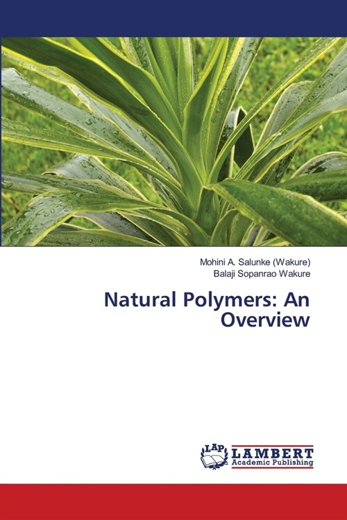 Natural Polymers: An Overview (Paperback)