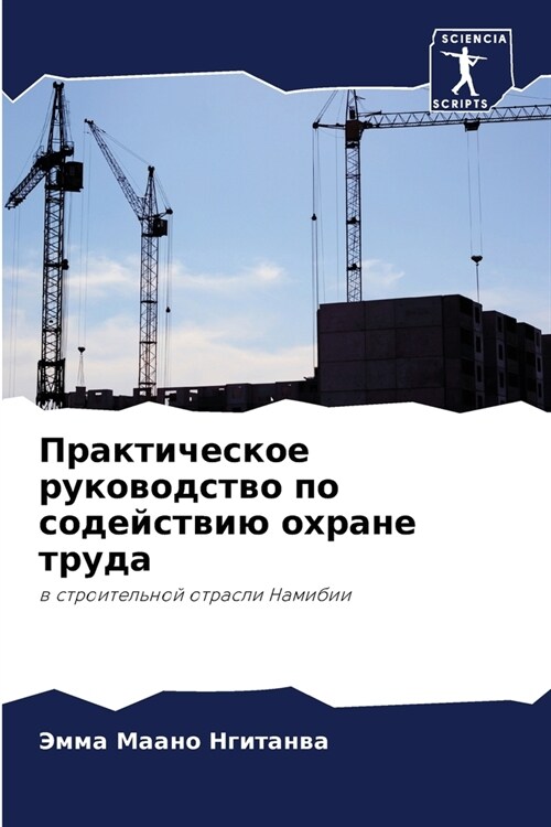 Практическое руководст&# (Paperback)