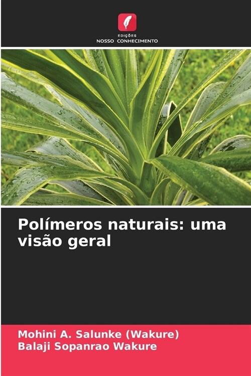 Pol?eros naturais: uma vis? geral (Paperback)