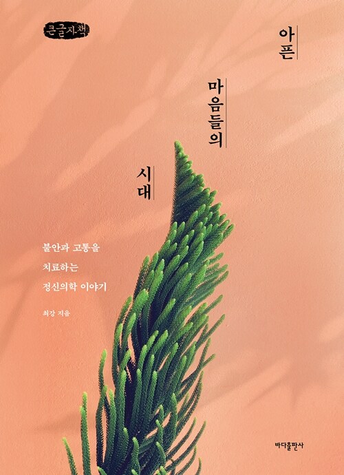 [큰글자책] 아픈 마음들의 시대