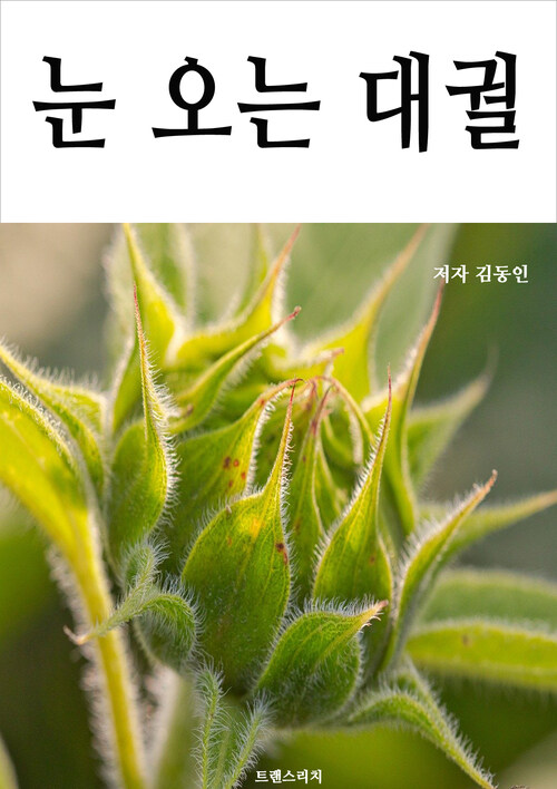 눈 오는 대궐