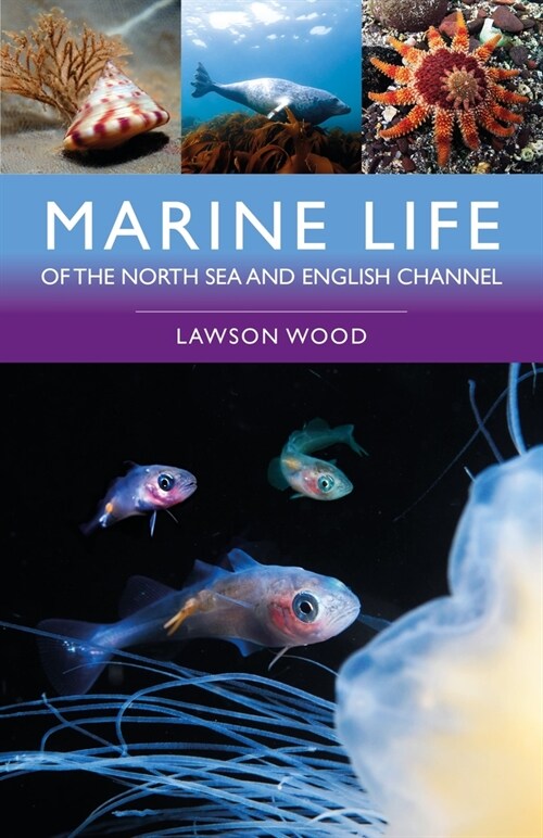 Marine Life of the North Sea and English Channel (Paperback, 2 ed)