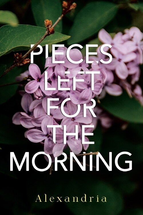 Pieces Left for the Morning (Paperback)