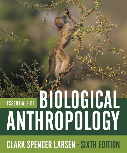 Essentials of Biological Anthropology (MX, Sixth Edition)