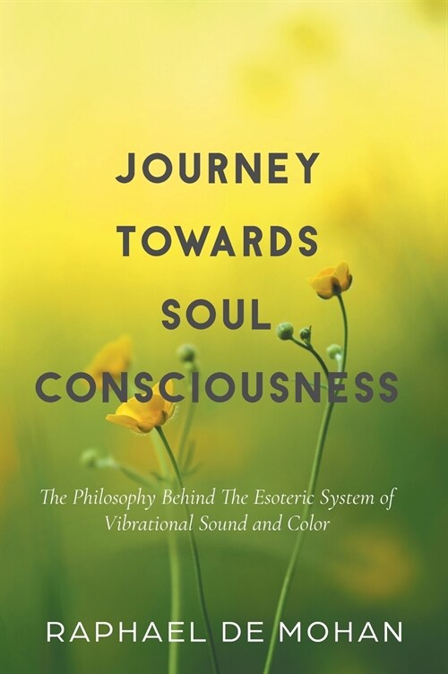 Journey Towards Soul Consciousness: The Philosophy Behind The Esoteric System of Vibrational Sound and Color (Hardcover)