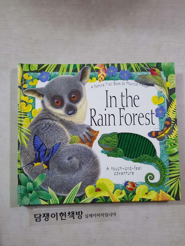 [중고] In the Rain Forest : A Nature Trail Book